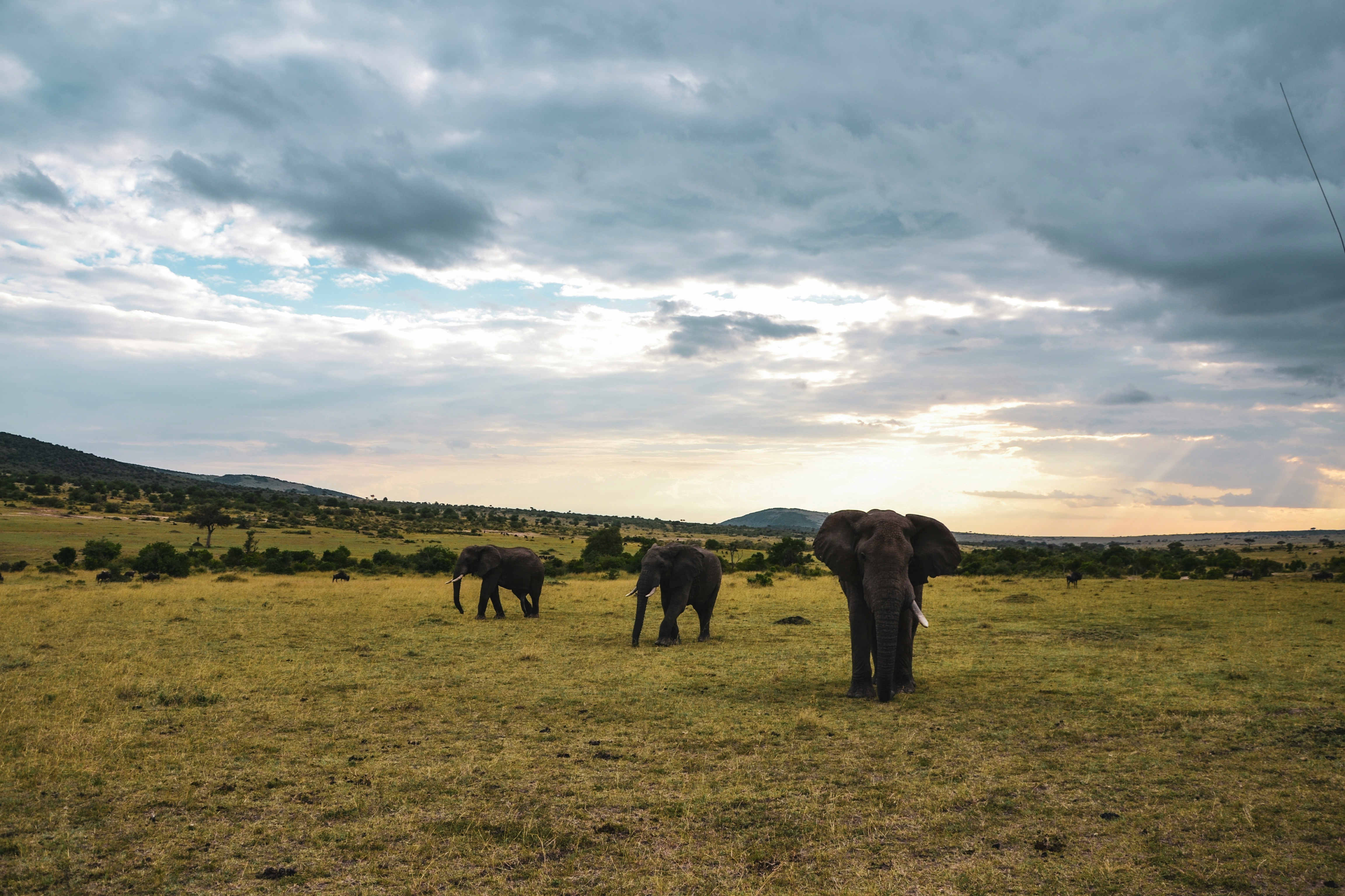 8-Day Group Safari
