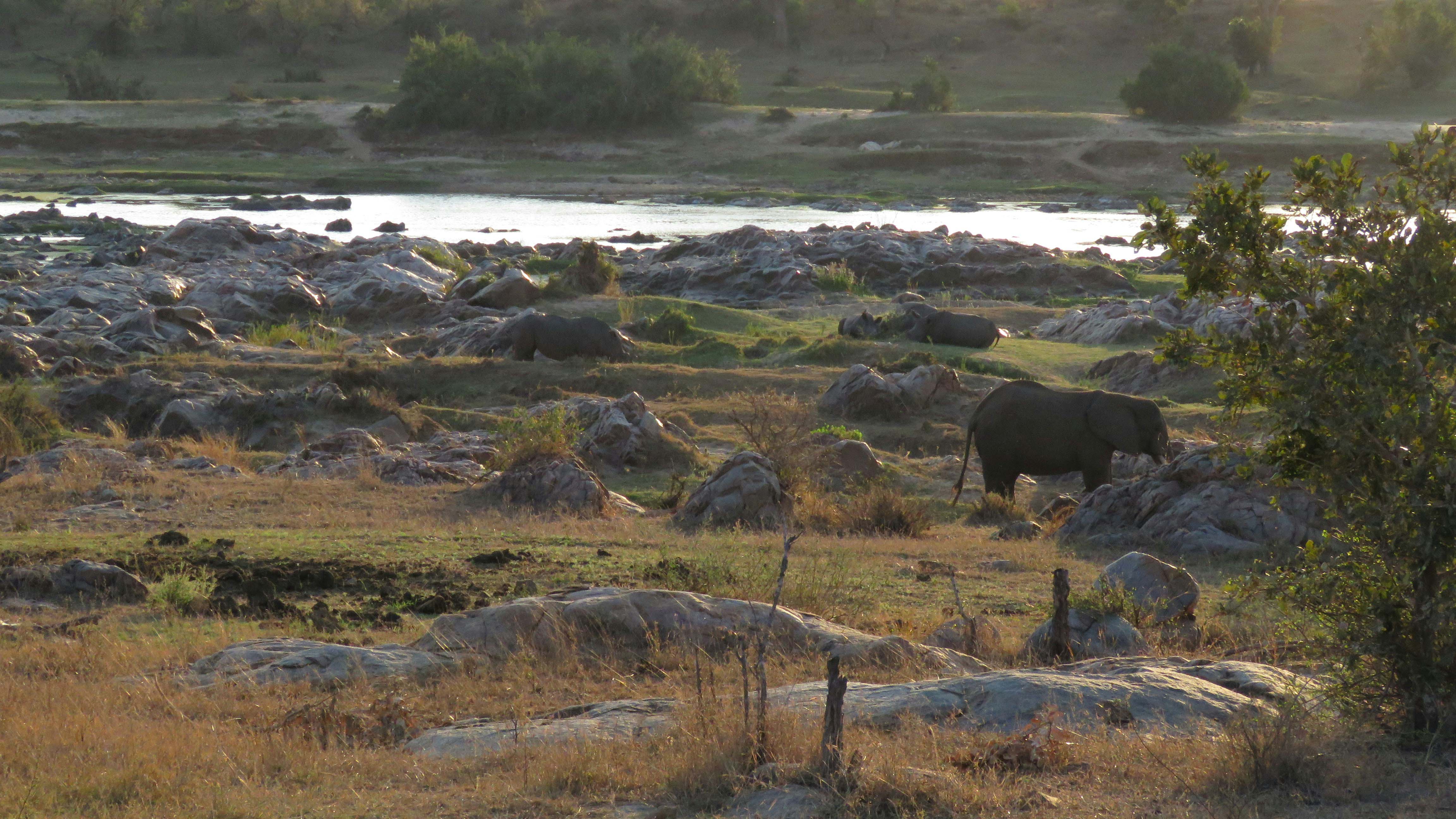 Maasai village during safari drive