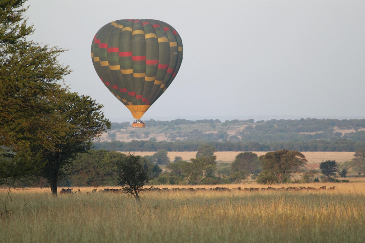 Hot air balloon safaris